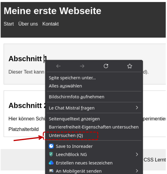 Bild: Rechtsklick-> Untersuchen